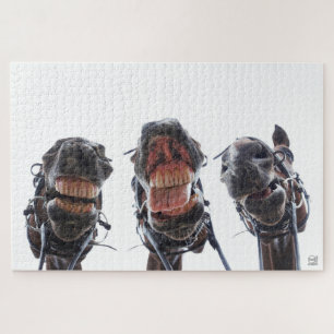 Paarden in de mond gekeken. 3 paarden lachend. legpuzzel