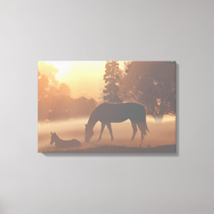 Paarden in de Morning Fog Canvas Afdruk