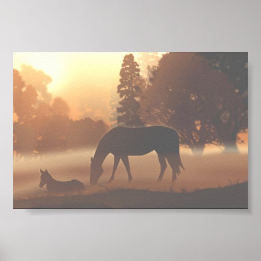 Paarden in de Morning Fog Poster (Voorkant)