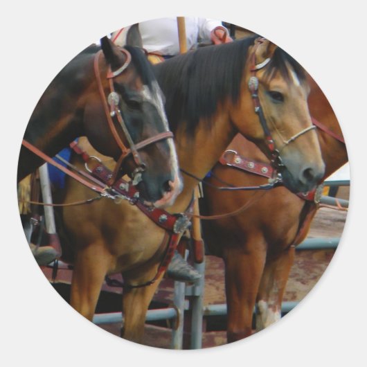 Paarden in de rij ronde sticker (Voorkant)