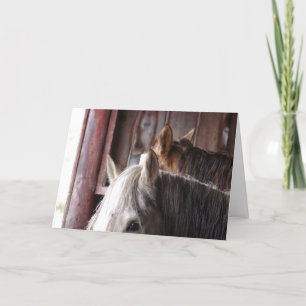 Paarden in de Schuur, Verjaardag Kaart