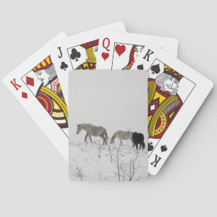 Paarden in de Sneeuw Klassieke Speelkaarten