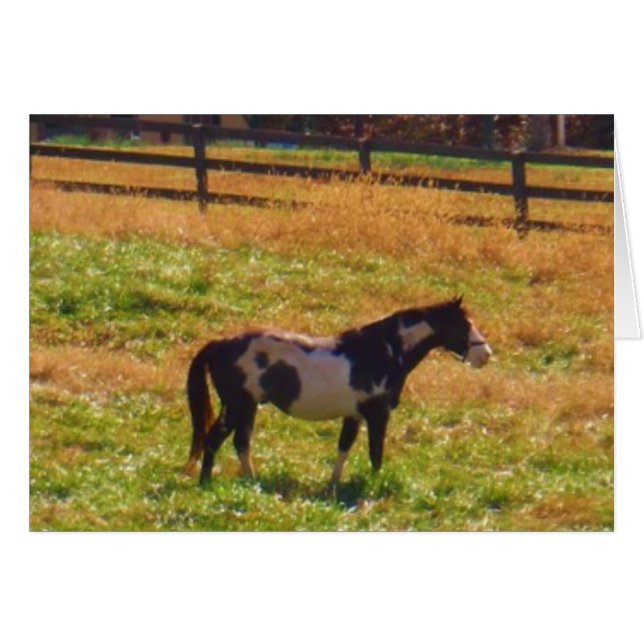 Paarden in de verte (Voorkant Horizontaal)