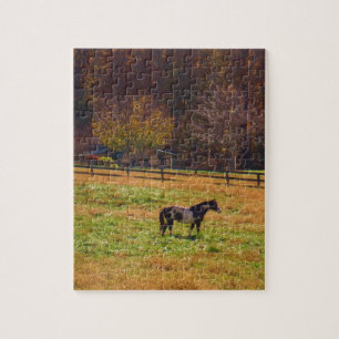 Paarden in de verte legpuzzel