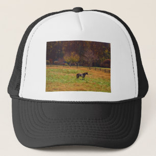 Paarden in de verte trucker pet