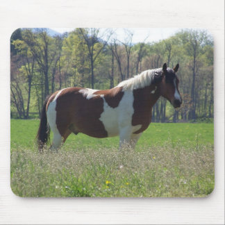 Paarden in de wilde bloemen muismat