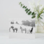 Paarden in de winter briefkaart (Staand voorkant)