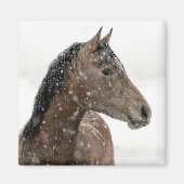 Paarden in de winter magneet (Voorkant)