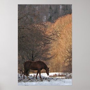 Paarden in de winter poster