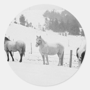 Paarden in de winter ronde sticker