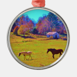 Paarden in een regenbooggekleurd veld metalen ornament