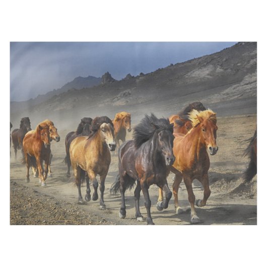 Paarden in een scheut tafelkleed (Voorkant (Horizontaal))