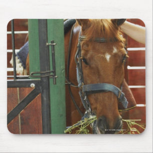 Paarden in een stabiel muismat