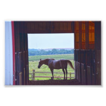 Paarden in een Stable, Missouri
