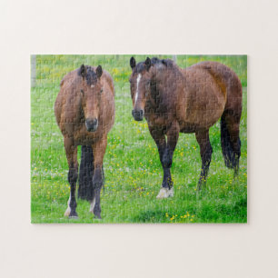 Paarden in een veld legpuzzel