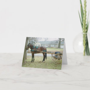 Paarden in Harness Note Card Feestdagen Kaart