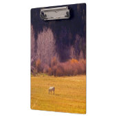 Paarden in Herfst I Klembord (Links)