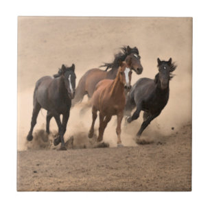 Paarden in Herfst II Tegeltje