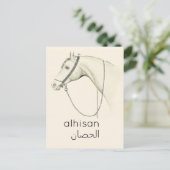 Paarden in het Arabisch - illustratie Briefkaart (Staand voorkant)