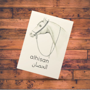 Paarden in het Arabisch - illustratie Briefkaart
