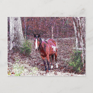 Paarden in het bos briefkaart