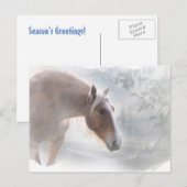 Paarden in het Briefkaart van de groeten van het S (Voorkant / Achterkant)