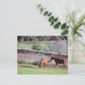 Paarden in het departement briefkaart (Staand voorkant)