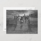 Paarden in het koraal briefkaart (Voorkant / Achterkant)