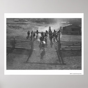 Paarden in het koraal poster