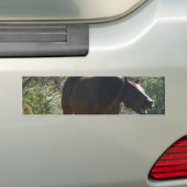 Paarden in het najaar bumpersticker (Op auto)