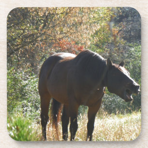 Paarden in het najaar drankjes onderzetter