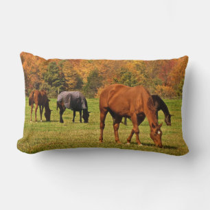 Paarden in het najaar kussen
