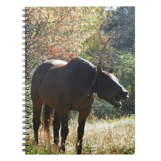 Paarden in het najaar notitieboek (Voorkant)
