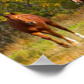 Paarden in het najaar poster (Hoek)