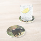 Paarden in het najaar zandsteen onderzetter (Zijkant)