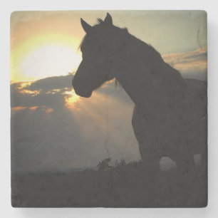 Paarden in het Sunset Onderzetter