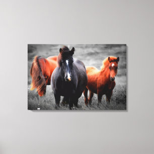 Paarden in het veld Gedeeltelijke kleurenfotografi Canvas Afdruk