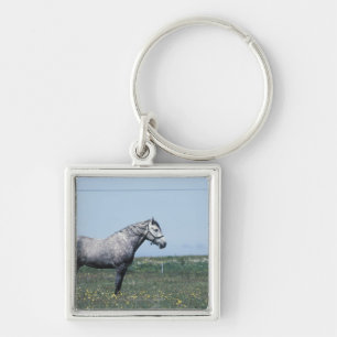 Paarden in het veld sleutelhanger
