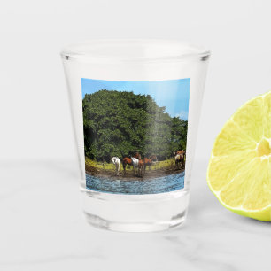 Paarden in het water - Costa Rica Shot Glas
