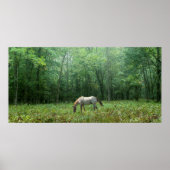 Paarden in Meadow Poster (Voorkant)