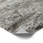 Paarden in Ocala, Florida Art Poster (Hoek)