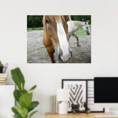 Paarden in Ocala, Florida Art Poster (Thuiskantoor)