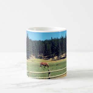 Paarden in pasta koffiemok