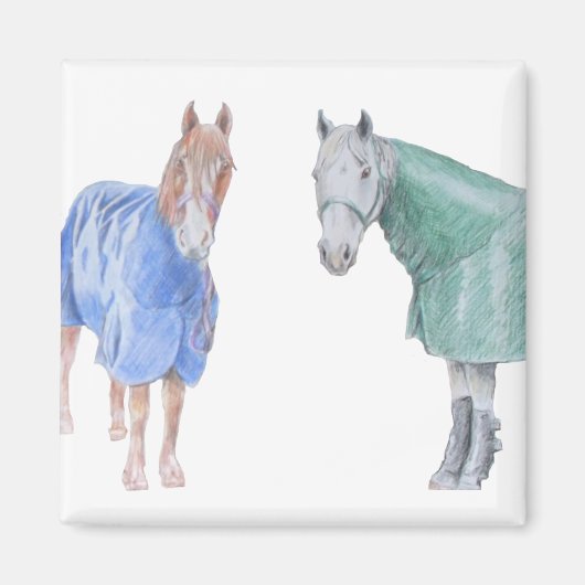 Paarden in ruggen magneet (Voorkant)