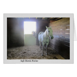 Paarden in rust in veilige Boerderijen