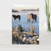Paarden-in-sneeuw kaart (Achterkant)