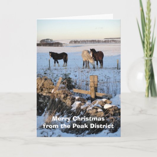 Paarden-in-sneeuw kaart (Voorkant)