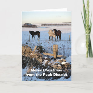 Paarden-in-sneeuw kaart