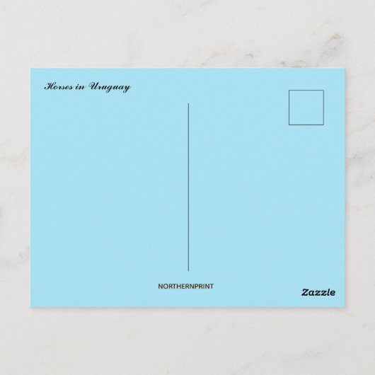 Paarden in Uruguay Briefkaart (Achterkant)
