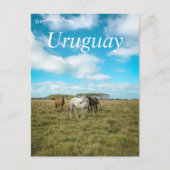 Paarden in Uruguay Briefkaart (Voorkant)